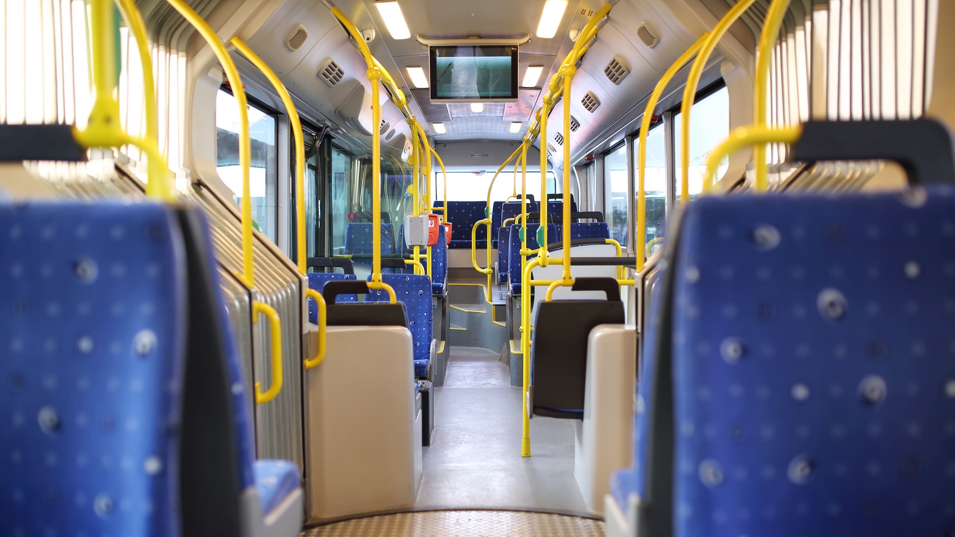 Beautyworld Dubai - Dubai Bus